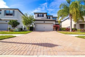 1977 Nature View Dr, LUTZ