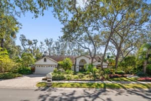 2617 Beagle Path Way, PALM HARBOR