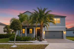 9804 Ivory Dr, SUN CITY CENTER 9804 Ivory Dr, SUN CITY CENTER