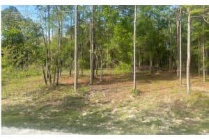 15570 Cliff Swallow Rd, WEEKI WACHEE 15570 Cliff Swallow Rd, WEEKI WACHEE