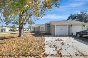 3202 Russett Dr, TAMPA