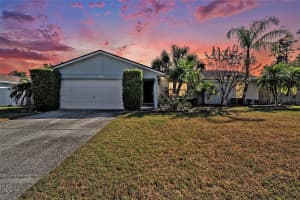 814 Satinleaf Ave, OLDSMAR