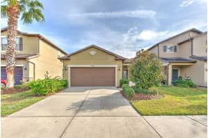 6435 Yellow Buckeye Dr, RIVERVIEW