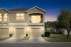 9077 Moonlit Meadows Loop, RIVERVIEW