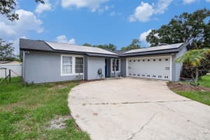 15906 Country Farm Pl, TAMPA