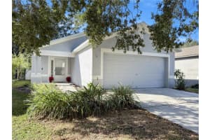 18170 Canal Pointe St, TAMPA