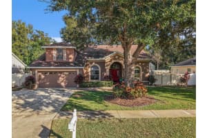 1023 Legends Pass Dr, VALRICO