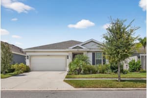5612 Del Coronado Dr, APOLLO BEACH