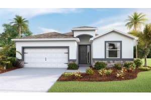 3905 Sunny Spring St, PLANT CITY