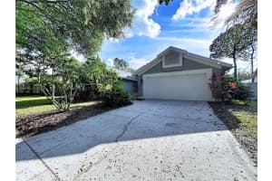 17307 Lockwood Ridge Dr, TAMPA