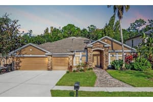 16121 Brecon Palms Pl, TAMPA