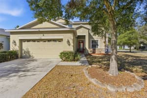 13801 Chalk Hill Pl, RIVERVIEW