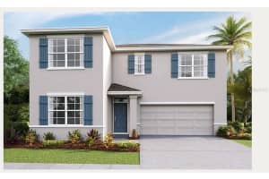 33518 Elm Hill Br, WESLEY CHAPEL