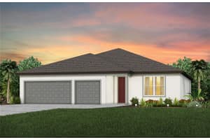 9736 Autumn Ridge Ave, RIVERVIEW