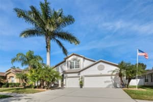 11011 Rockledge View Dr., RIVERVIEW