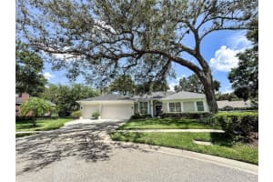 11501 Norval Pl, TEMPLE TERRACE 11501 Norval Pl, TEMPLE TERRACE