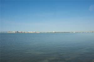 50 Coe Rd #224, BELLEAIR