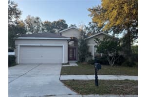 8210 Whistling Pine Way, TAMPA
