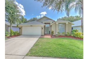 10140 Somersby Dr, RIVERVIEW