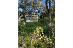 39249 Lizabeth Cir, ZEPHYRHILLS 39249 Lizabeth Cir, ZEPHYRHILLS