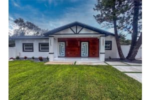 6402 N Woodlynne Ave, TAMPA