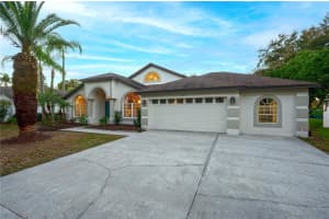 15014 Arbor Hollow Dr, ODESSA