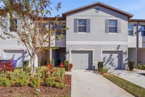 4459 Globe Thistle Dr, TAMPA