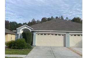 1228 Bensbrooke Dr, WESLEY CHAPEL 1228 Bensbrooke Dr, WESLEY CHAPEL