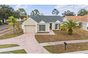 11008 Brightside Dr, TAMPA