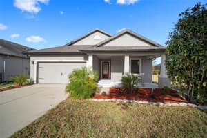 12156 Creek Preserve Dr, RIVERVIEW