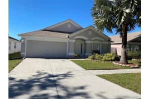12309 Hawkeye Point Pl, RIVERVIEW
