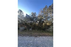 3908 W Tropic Ln, DUNNELLON