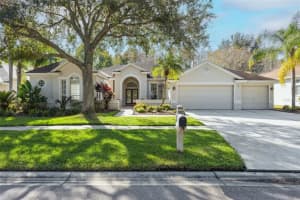 5206 Reflections Blvd, LUTZ