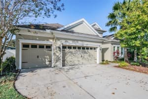 8429 Eagle Brook Dr, LAND O LAKES