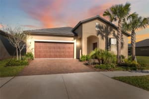 16787 Shell Bay Dr, LAND O LAKES