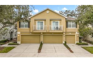 6811 Breezy Palm Dr, RIVERVIEW 6811 Breezy Palm Dr, RIVERVIEW