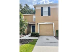 4344 Silver Falls Dr, LAND O LAKES