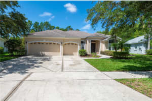 6120 Cezanne Ave, LUTZ 6120 Cezanne Ave, LUTZ