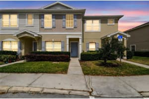 16227 Swan View Cir, ODESSA 16227 Swan View Cir, ODESSA