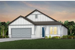 10017 Trellis Vine Way, PARRISH