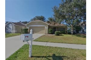 , WESLEY CHAPEL , WESLEY CHAPEL