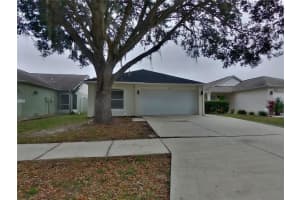 , WESLEY CHAPEL , WESLEY CHAPEL