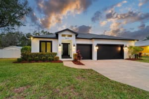 3211 Moran Rd, TAMPA