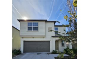 9905 Spanish Lime Ct, RIVERVIEW