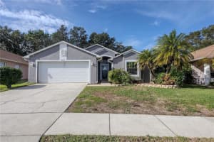 3043 Beaver Pond Trl, VALRICO