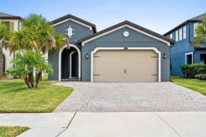 4580 San Martino Dr, WESLEY CHAPEL