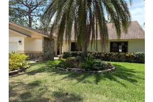 3006 Bolt Dr, PALM HARBOR 3006 Bolt Dr, PALM HARBOR