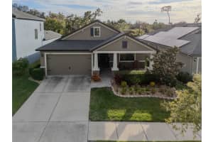 11247 Paddock Manor Ave, RIVERVIEW