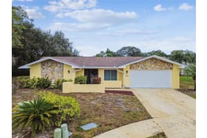 3545 Snowy Egret Ct, PALM HARBOR 3545 Snowy Egret Ct, PALM HARBOR