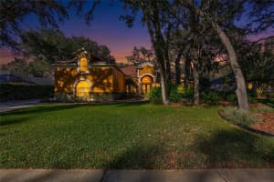 6022 Hammock Hill Ave, LITHIA